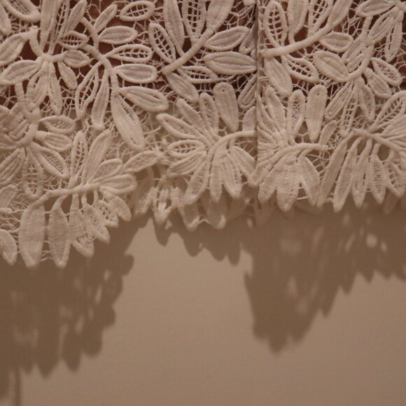 Right Sheer, Right Now White Lace Bodycon Dress - Picture 8 of 8